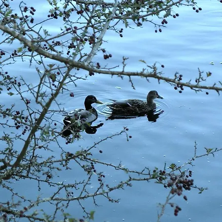 Pensjonat Casa Luz Lires