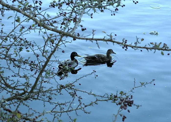 Πανσιόν Casa Luz Lires